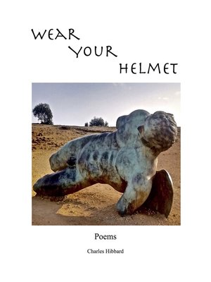 cover image of Wear Your Helmet